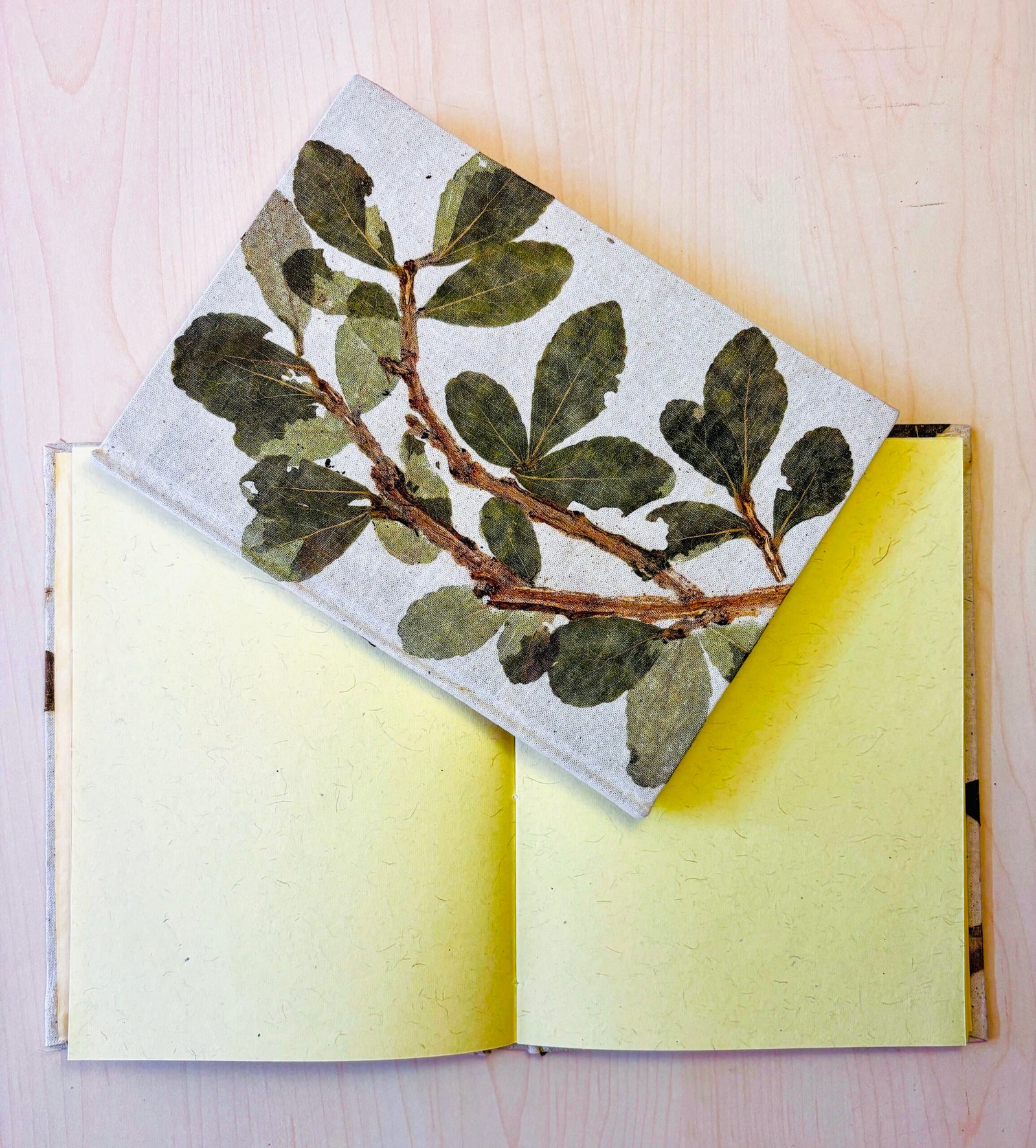 Handcrafted Natural Plant Diary-2 - Image 4