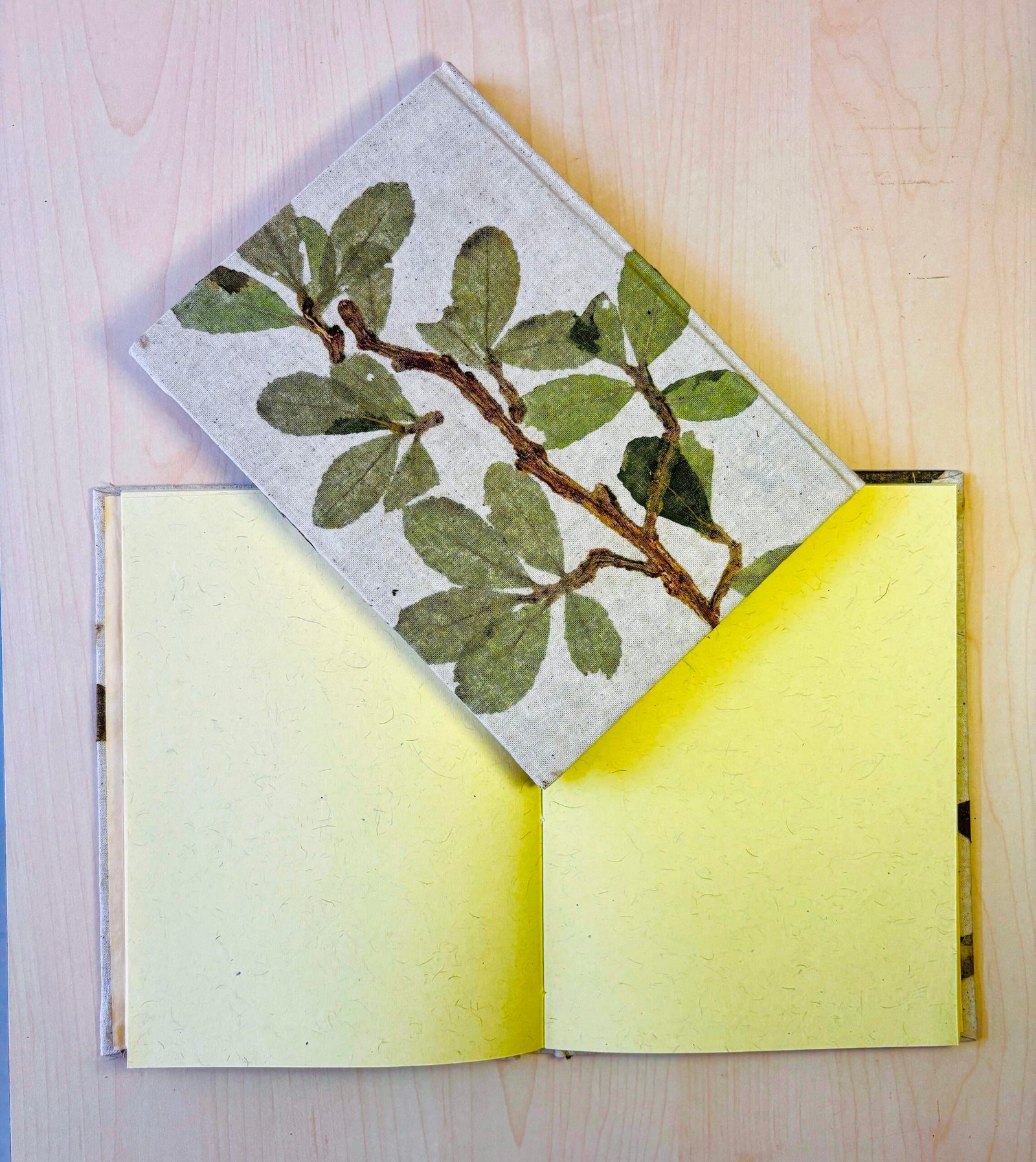 Handcrafted Natural Plant Diary-2 - Image 2