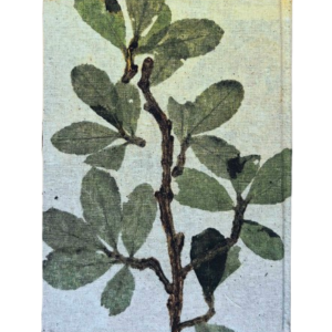 Handcrafted Natural Plant Diary-2