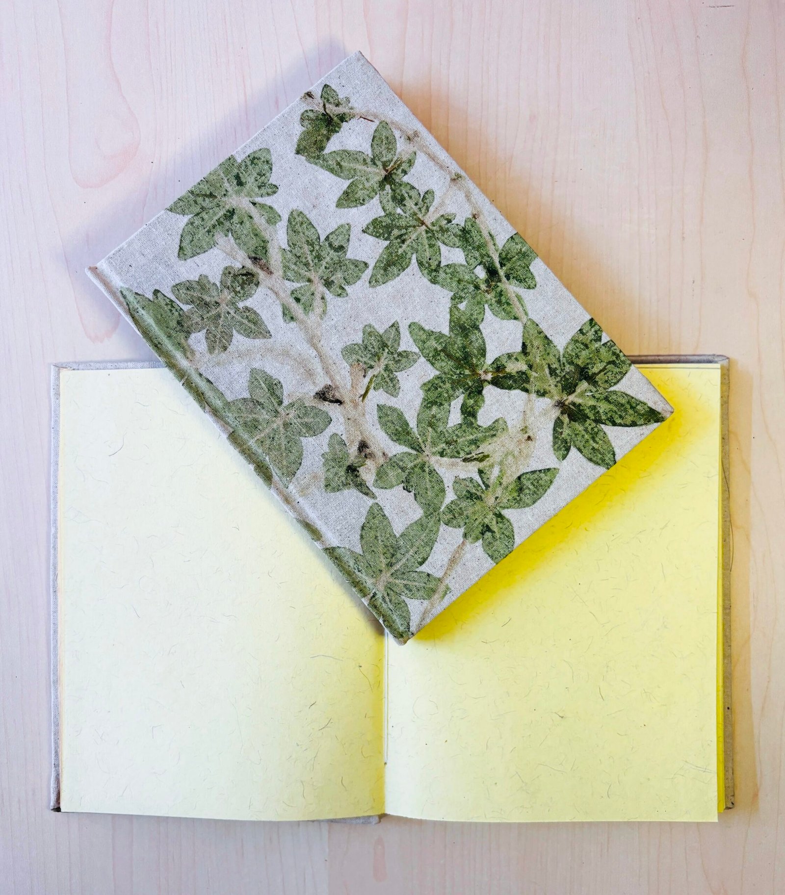 Handcrafted Natural Plant Diary-5 - Image 3