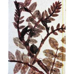 Handcrafted Natural Plant Diary-8